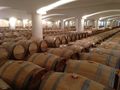 Una de las numerosas bodegas de Burdeos