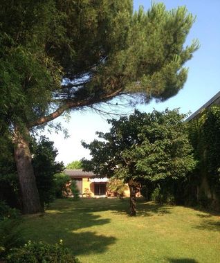 Clos bamboo et son jardin